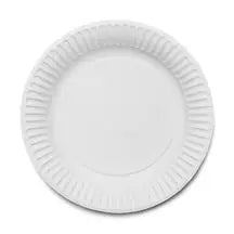 Paper Plates 7 Inch 100 Pack