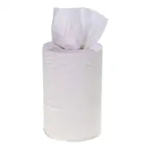 Soclean Mini Centrefeed White Rolls 2ply 60m 12 Pack