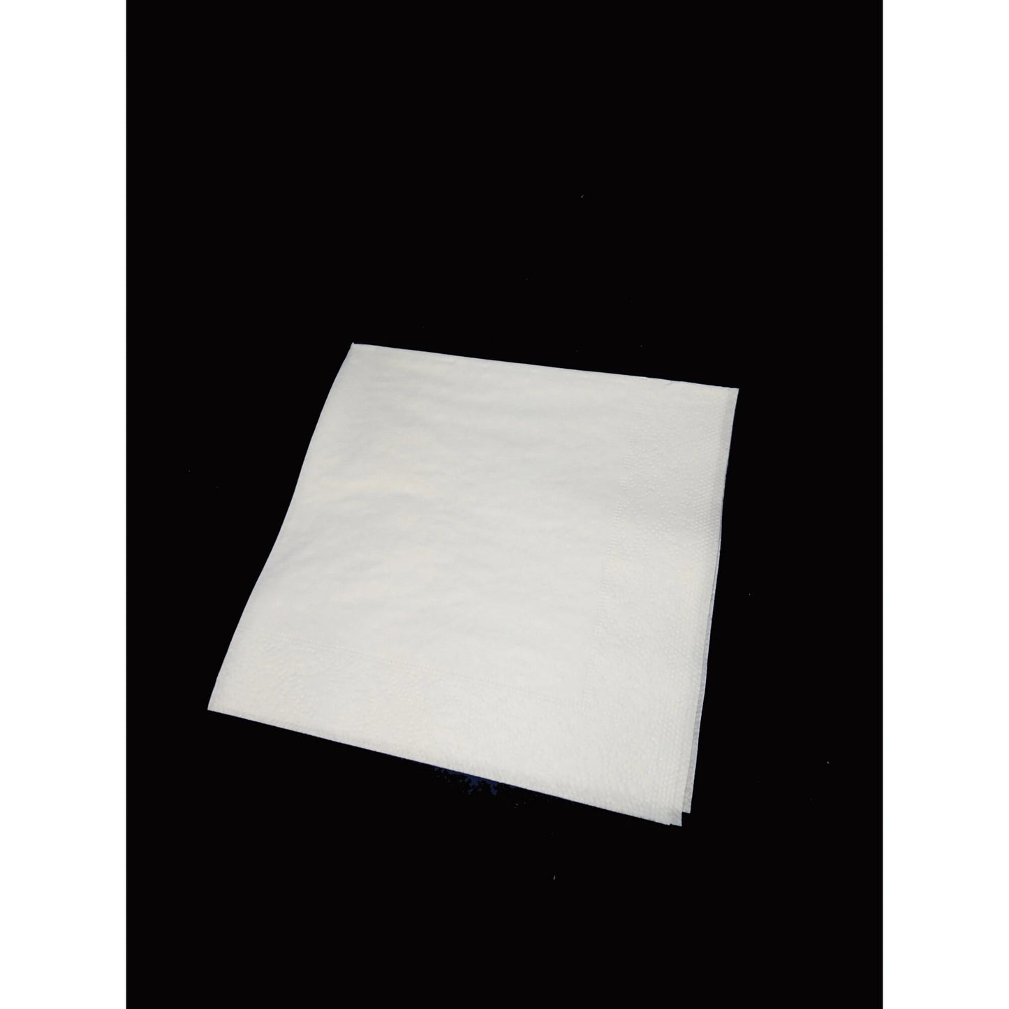 White 2 Ply Napkins 25cm- Pack of 250