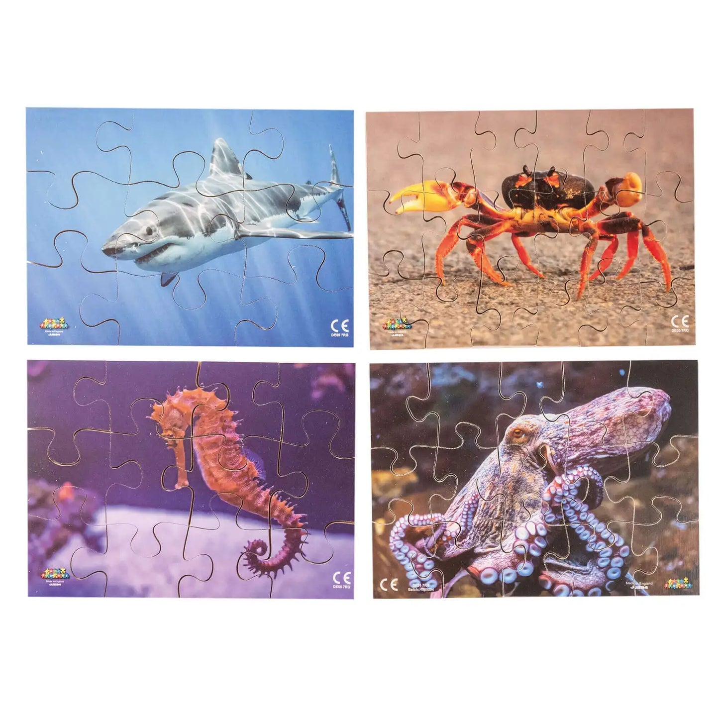 Sea Creatures Puzzle 18 Piece 8 Pack