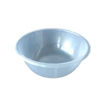 Plastic Bowl 2 Litre