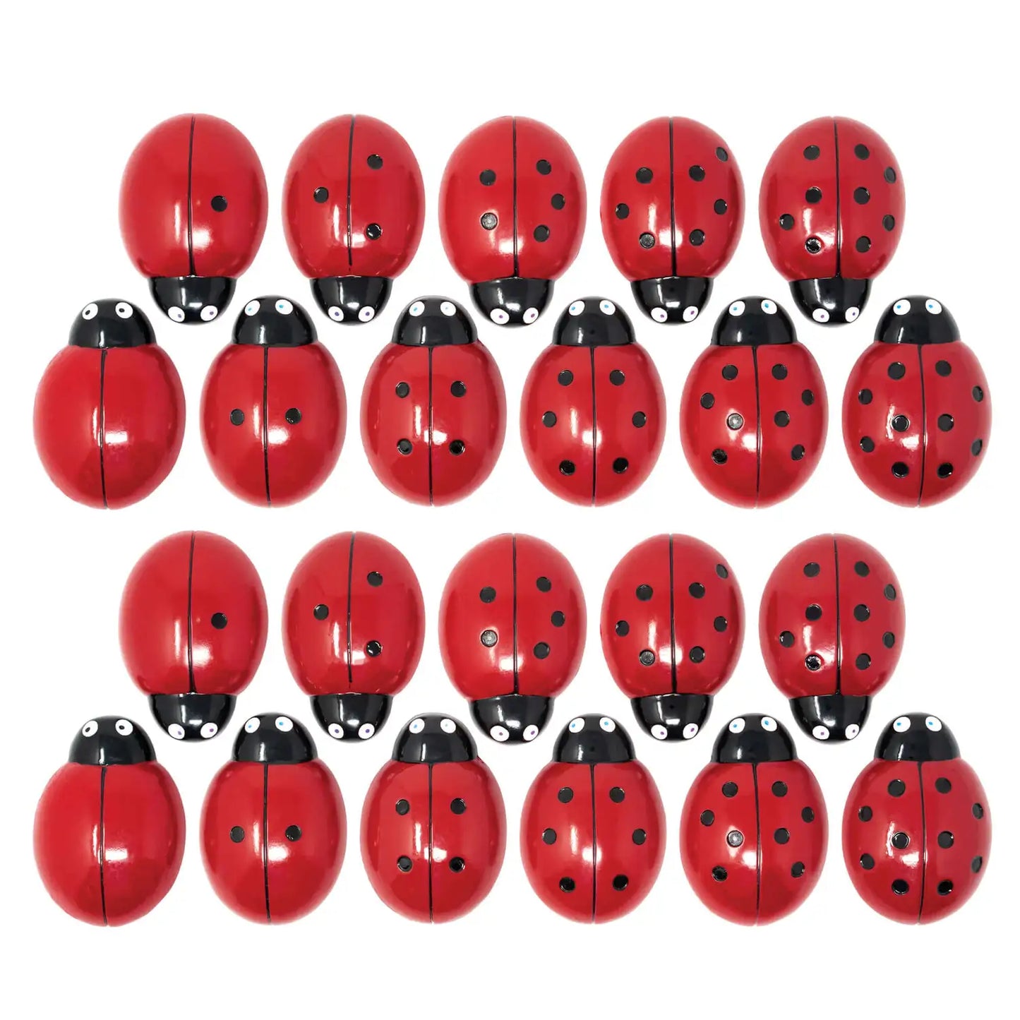 Ladybug Counting Stones