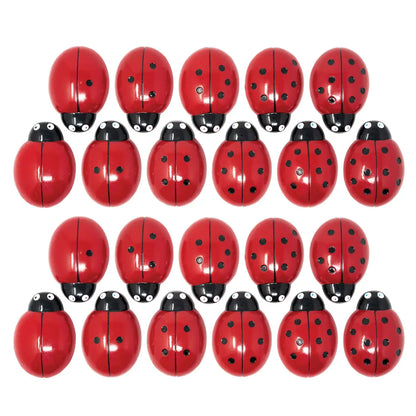 Ladybug Counting Stones