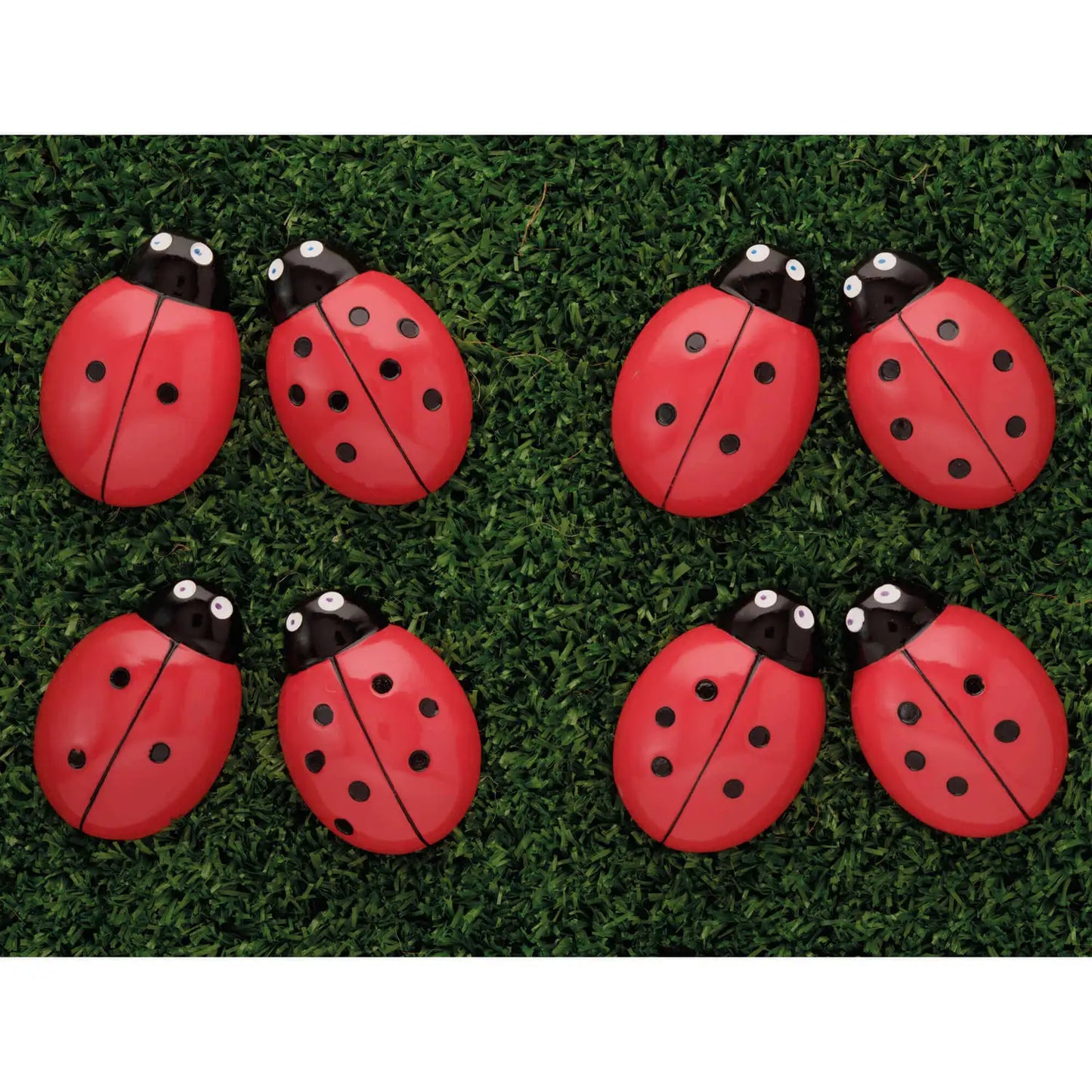 Ladybug Counting Stones
