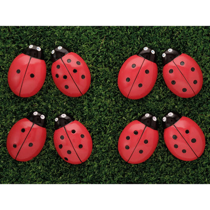 Ladybug Counting Stones
