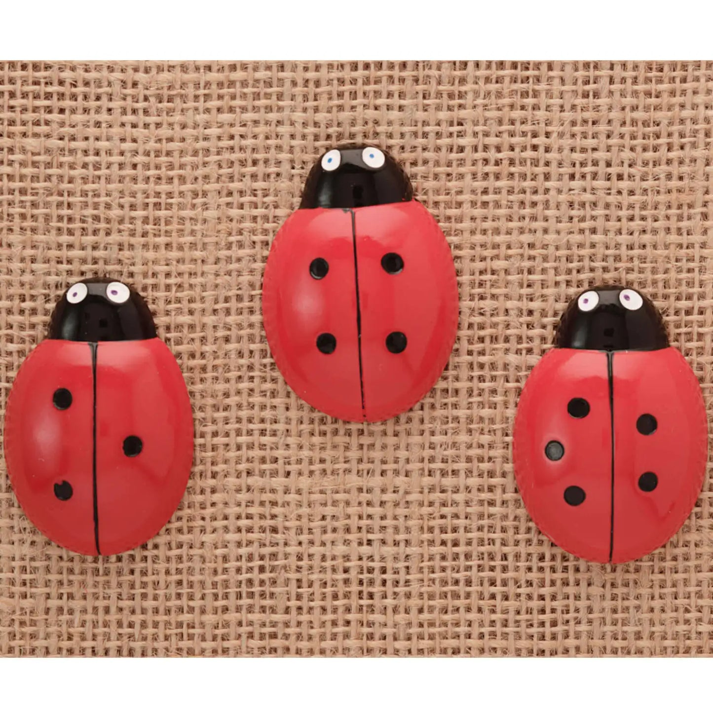 Ladybug Counting Stones