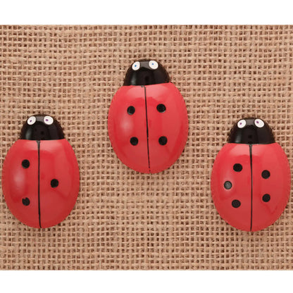 Ladybug Counting Stones