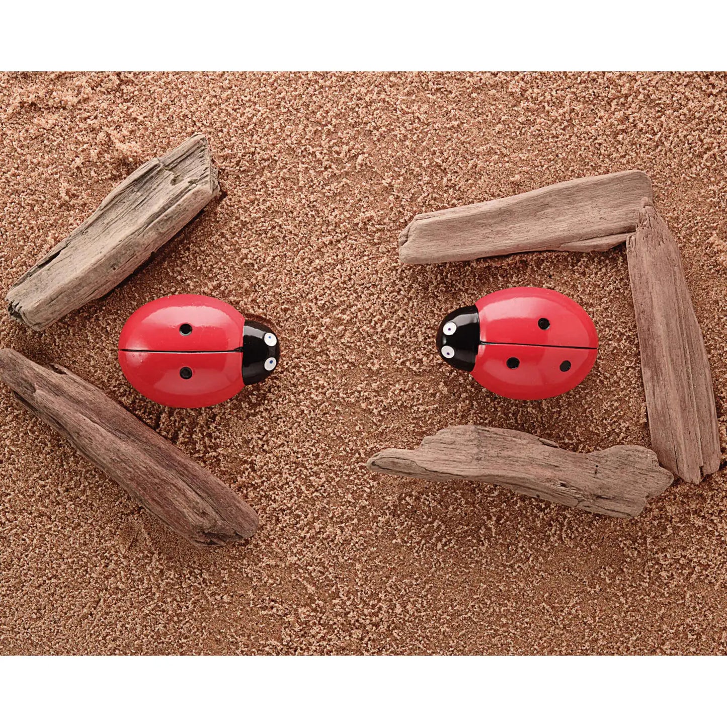 Ladybug Counting Stones
