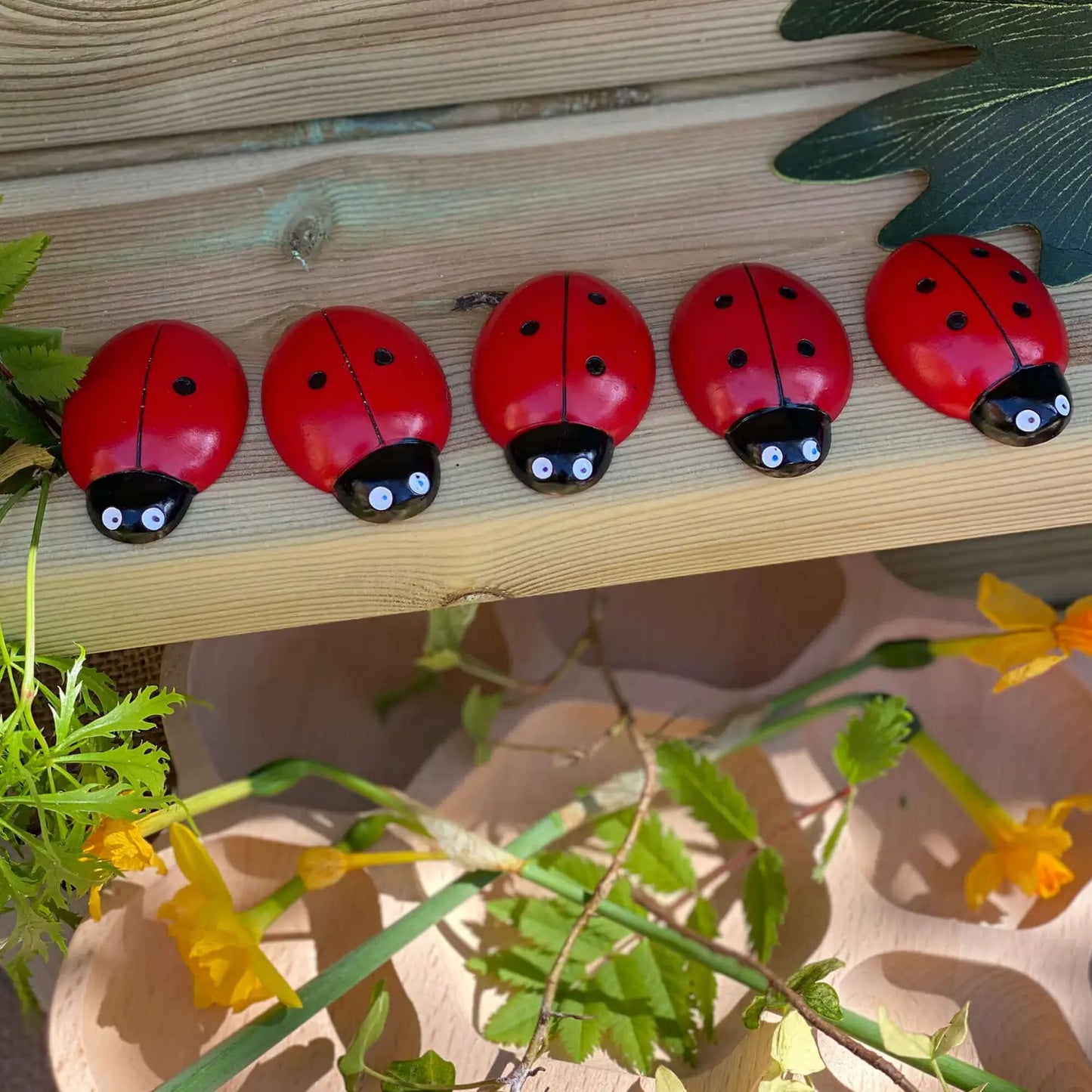 Ladybug Counting Stones