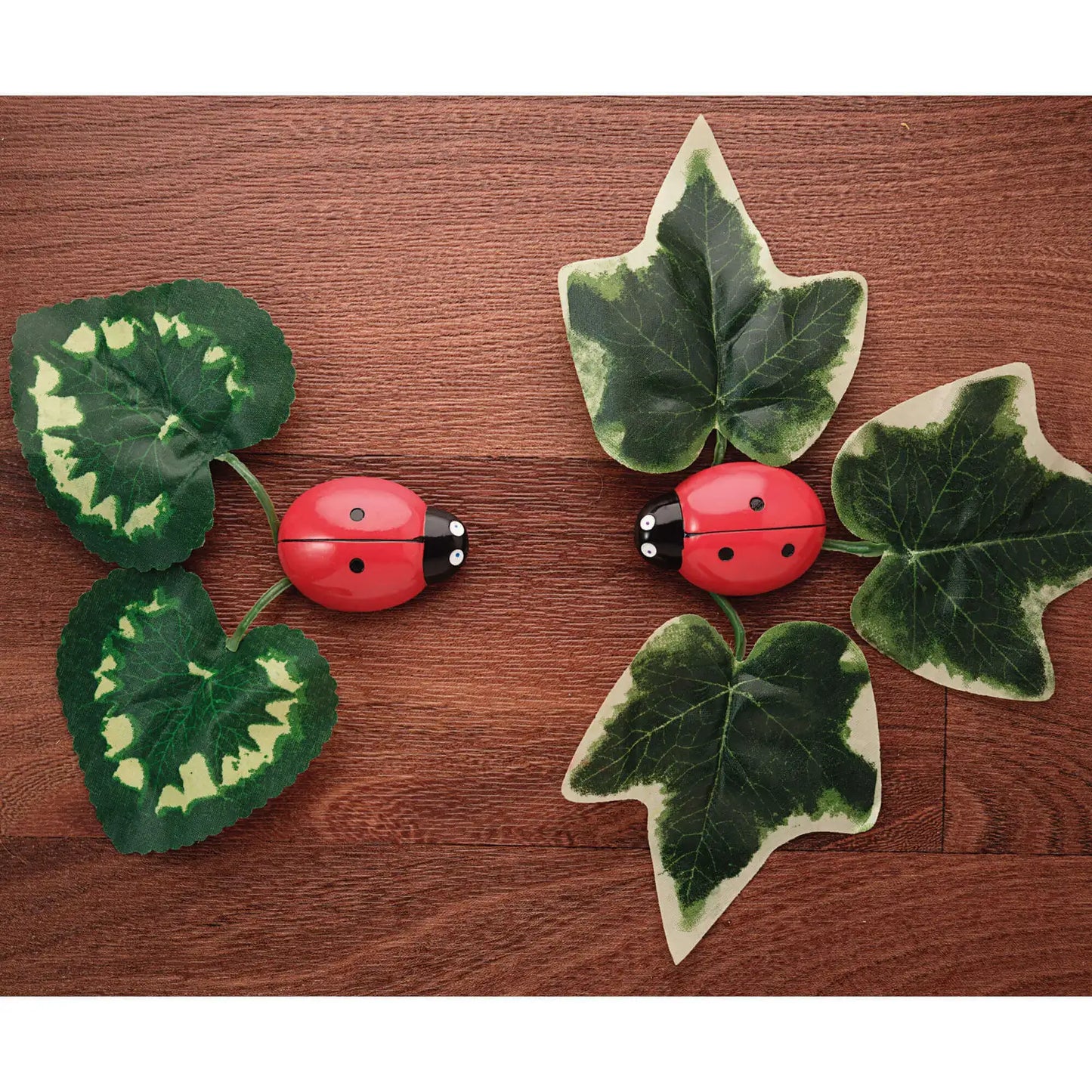 Ladybug Counting Stones