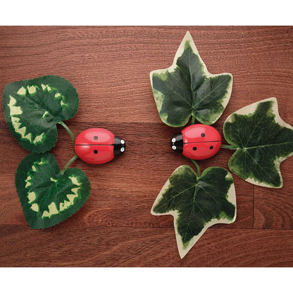 Ladybug Counting Stones