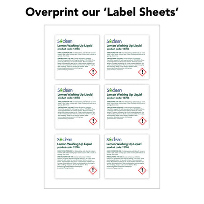 Plain Labels 6 Per Sheet