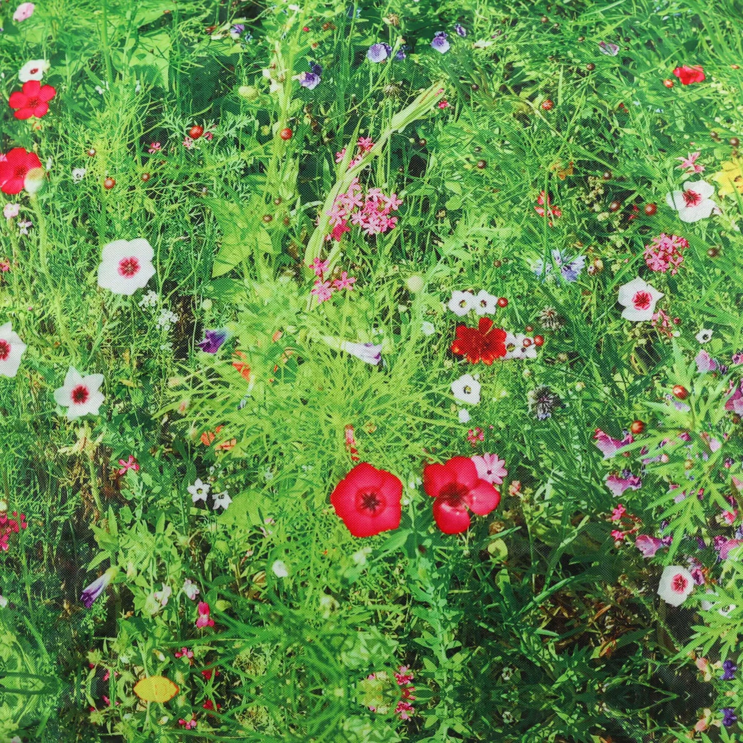 Bean Bag Summer Meadow