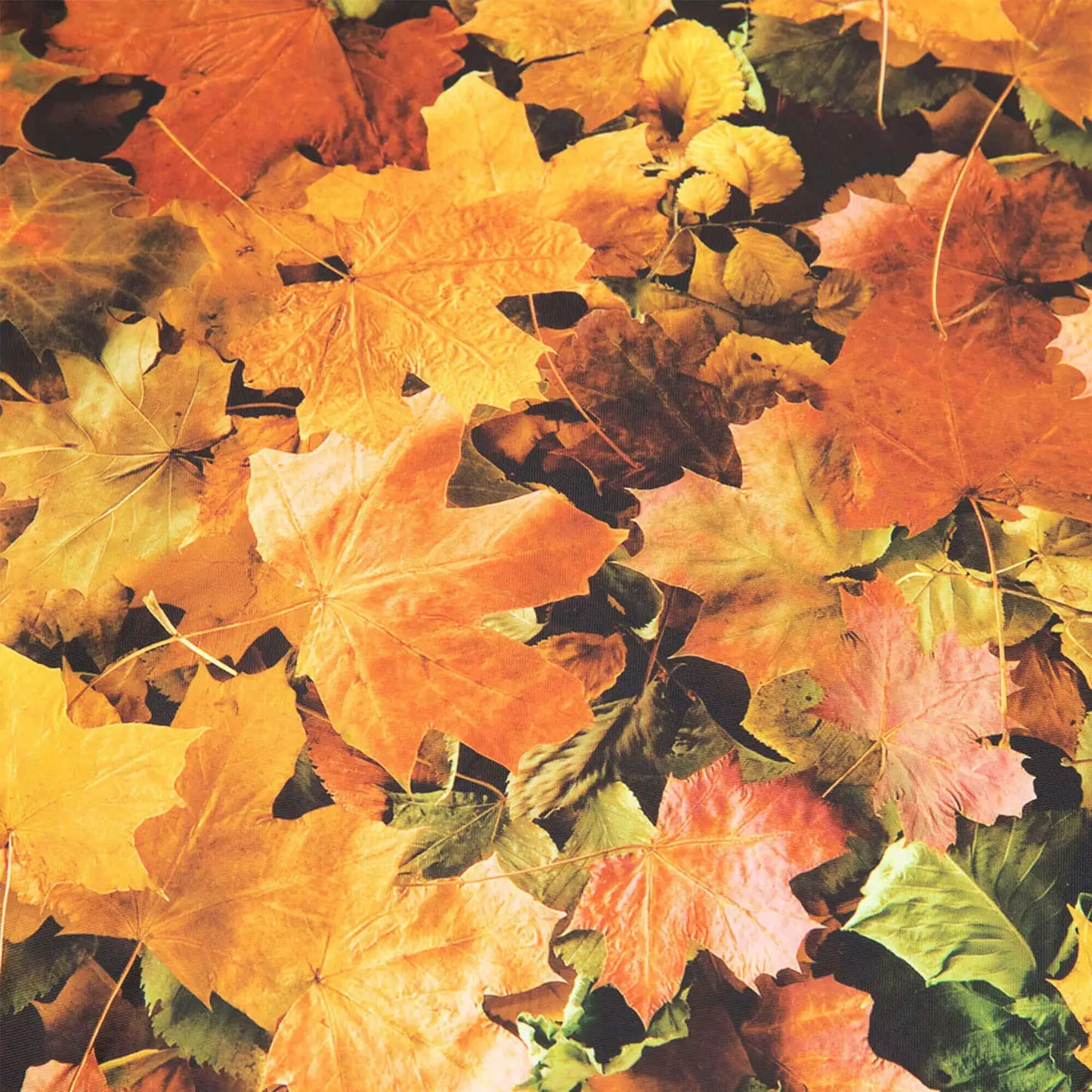 Floor Cushion Autumn Leaves