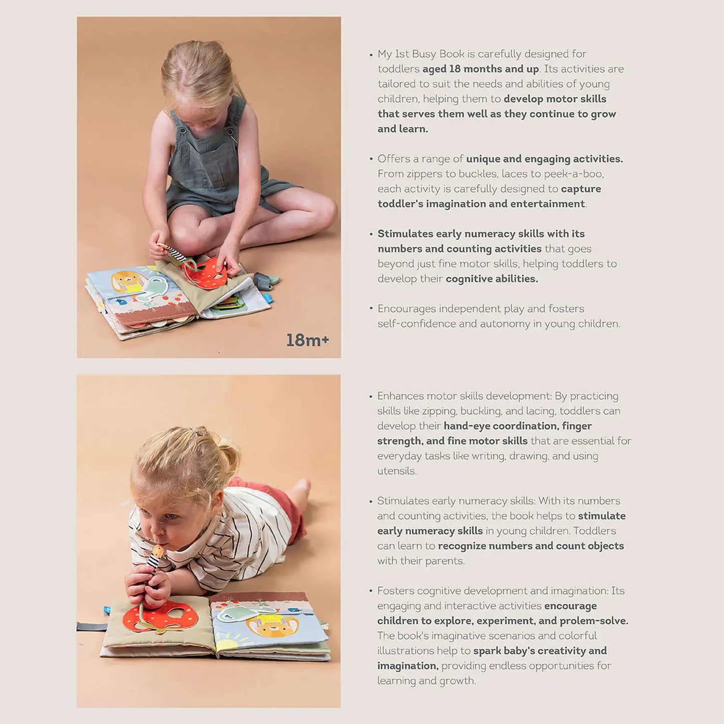 Taf Toys My First Busy Book