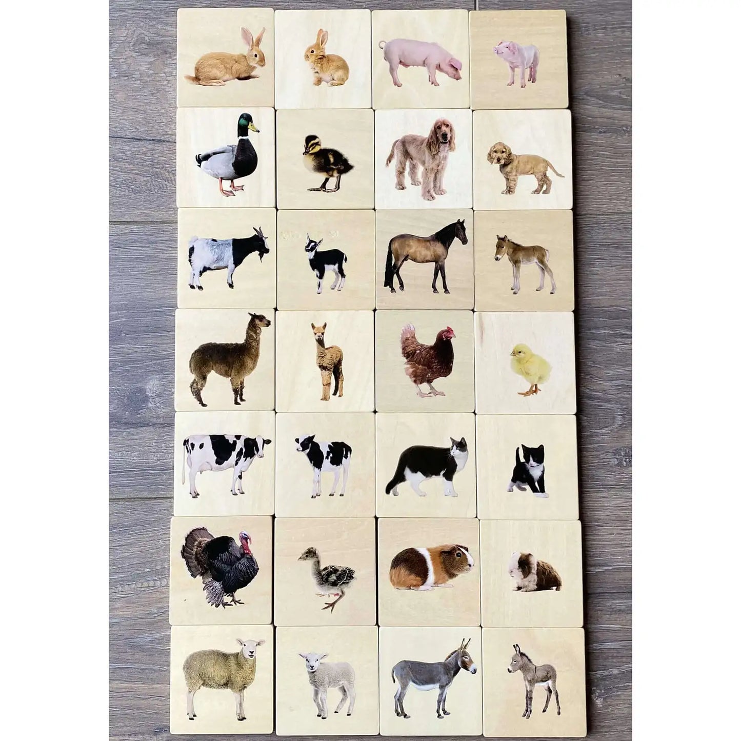 Domestic Animal Family Match