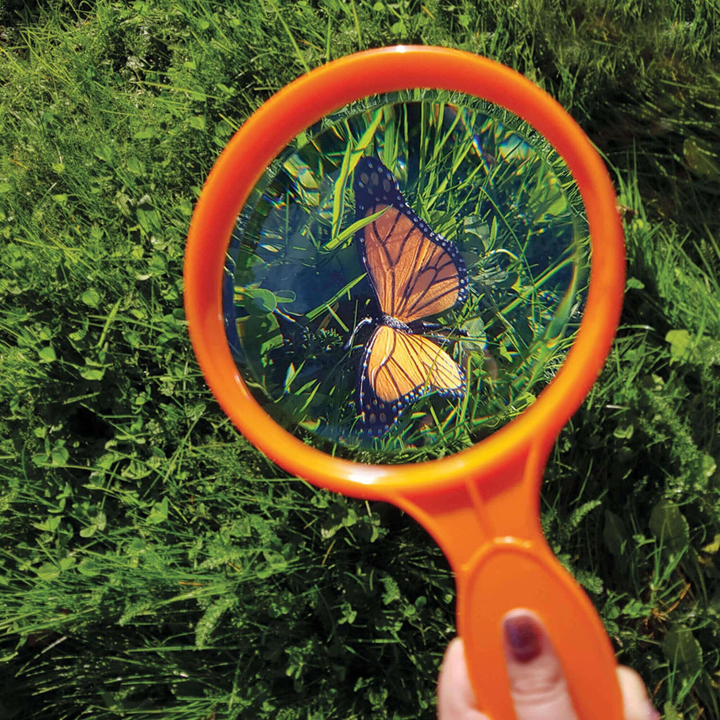 Giant Magnifying Kit