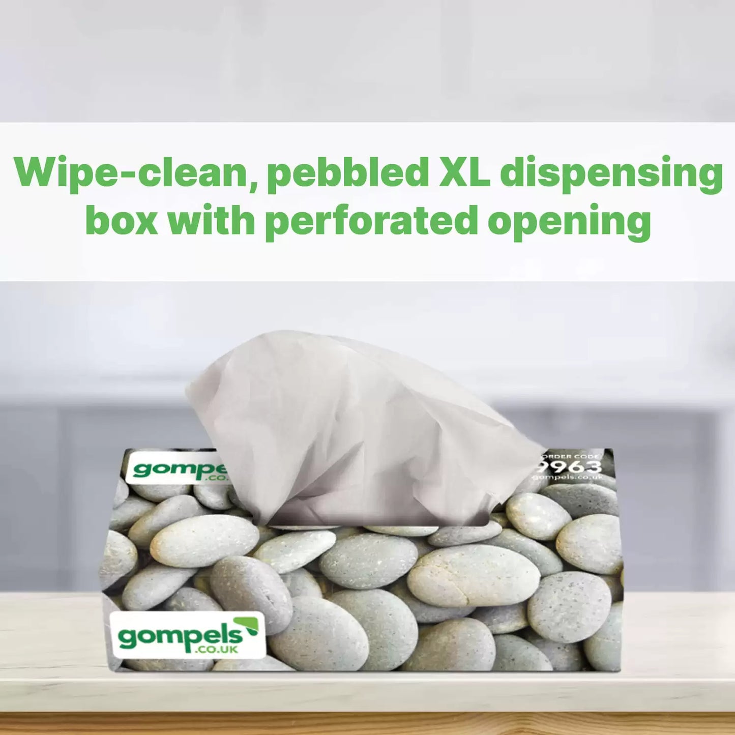 Soclean XL Facial Tissues 2ply 100 x 24 Pack