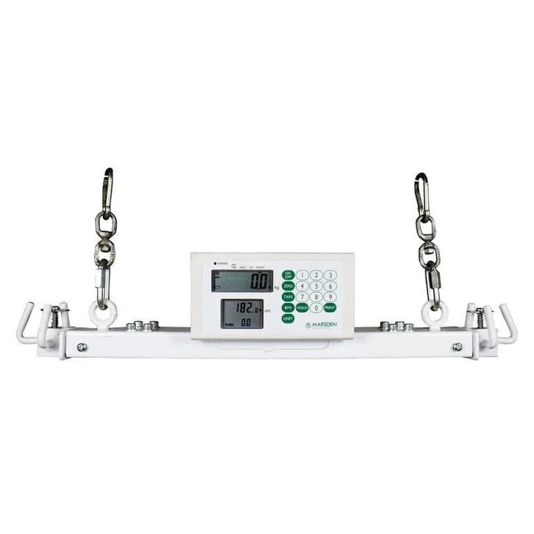 Hoist Attachment Weighing Scale